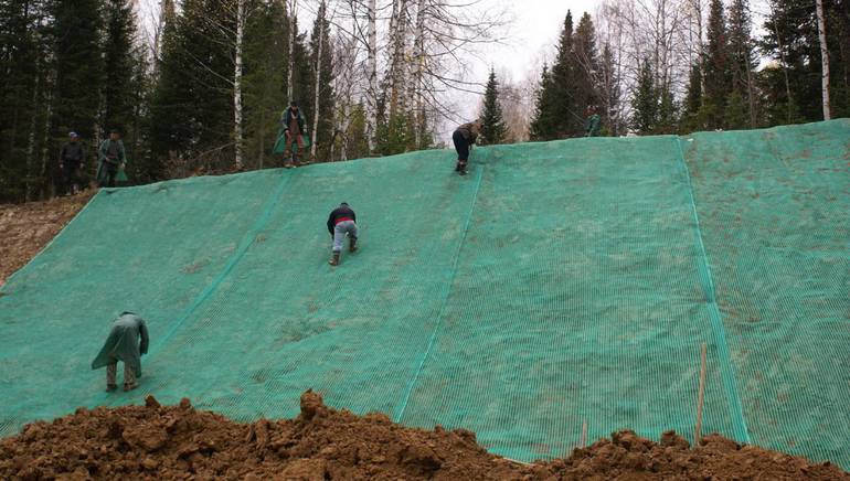 Geogrid for slope reinforcement