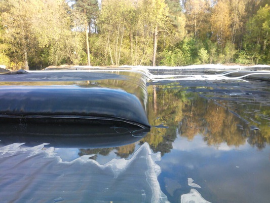 Environmental rehabilitation of the Pekhorka River