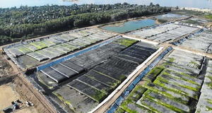 Experience of Sludge Dewatering in Geotubes