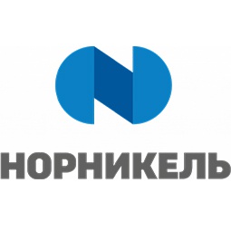 About the Company