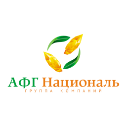 About the Company