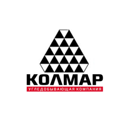 About the Company
