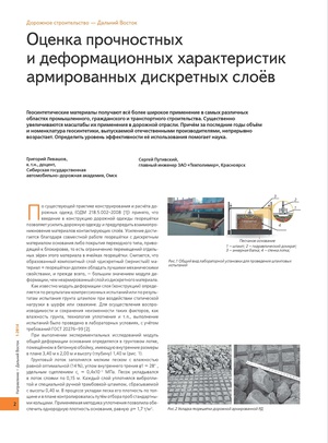 Assessment of Strength and Deformation Characteristics of Reinforced Discrete Layers