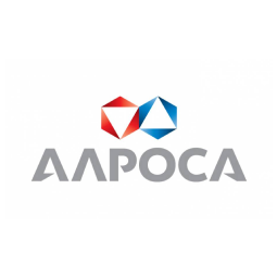 About the Company