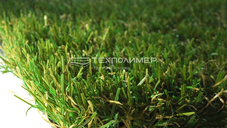 TechnoGRASS