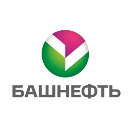 About the Company