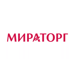 About the Company