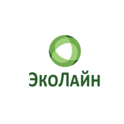 About the Company
